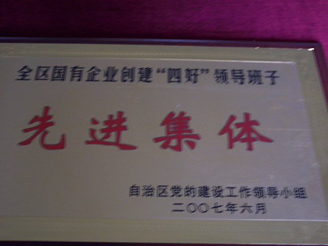 2007年6月自治區黨的建設工作領導小組先進集體