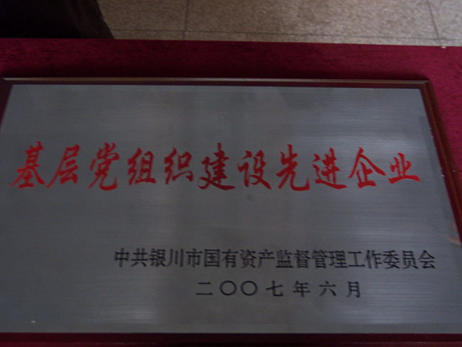 2007年6月基層黨組織建設先進企業