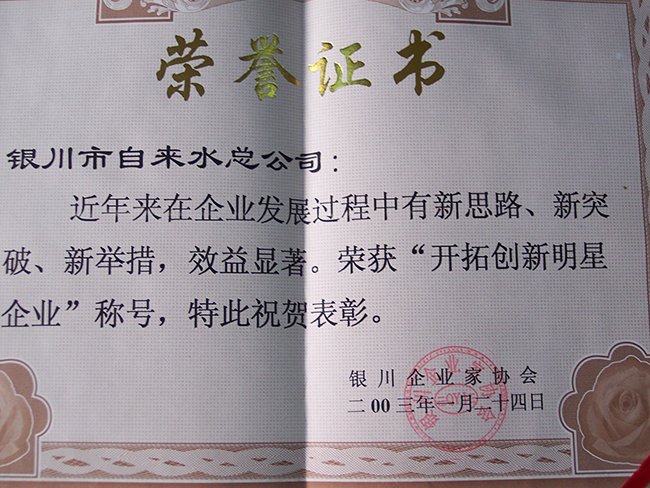 2003年銀川企業家協會“開拓創新明星企業”稱號